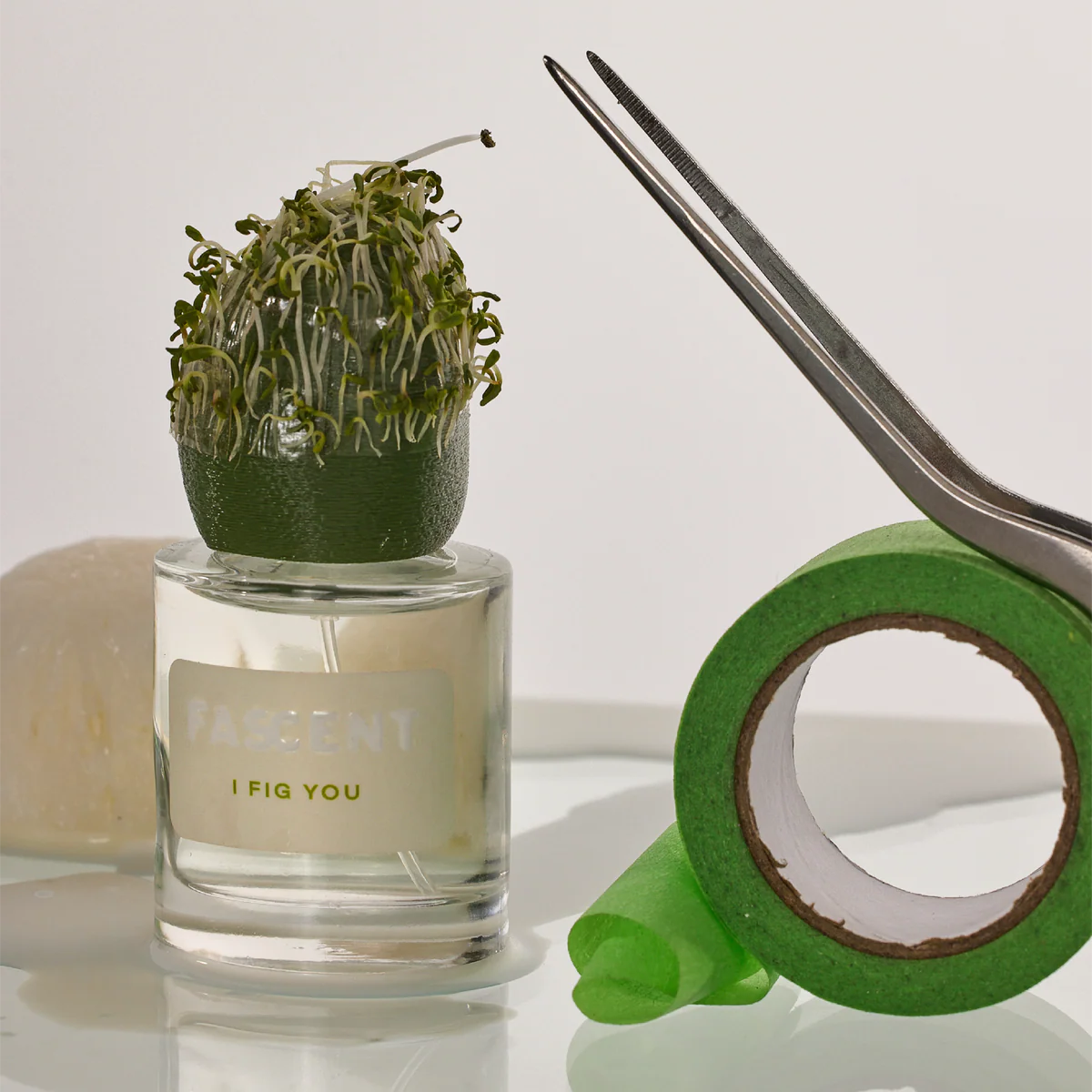 Fascent I Fig You – nos.scents