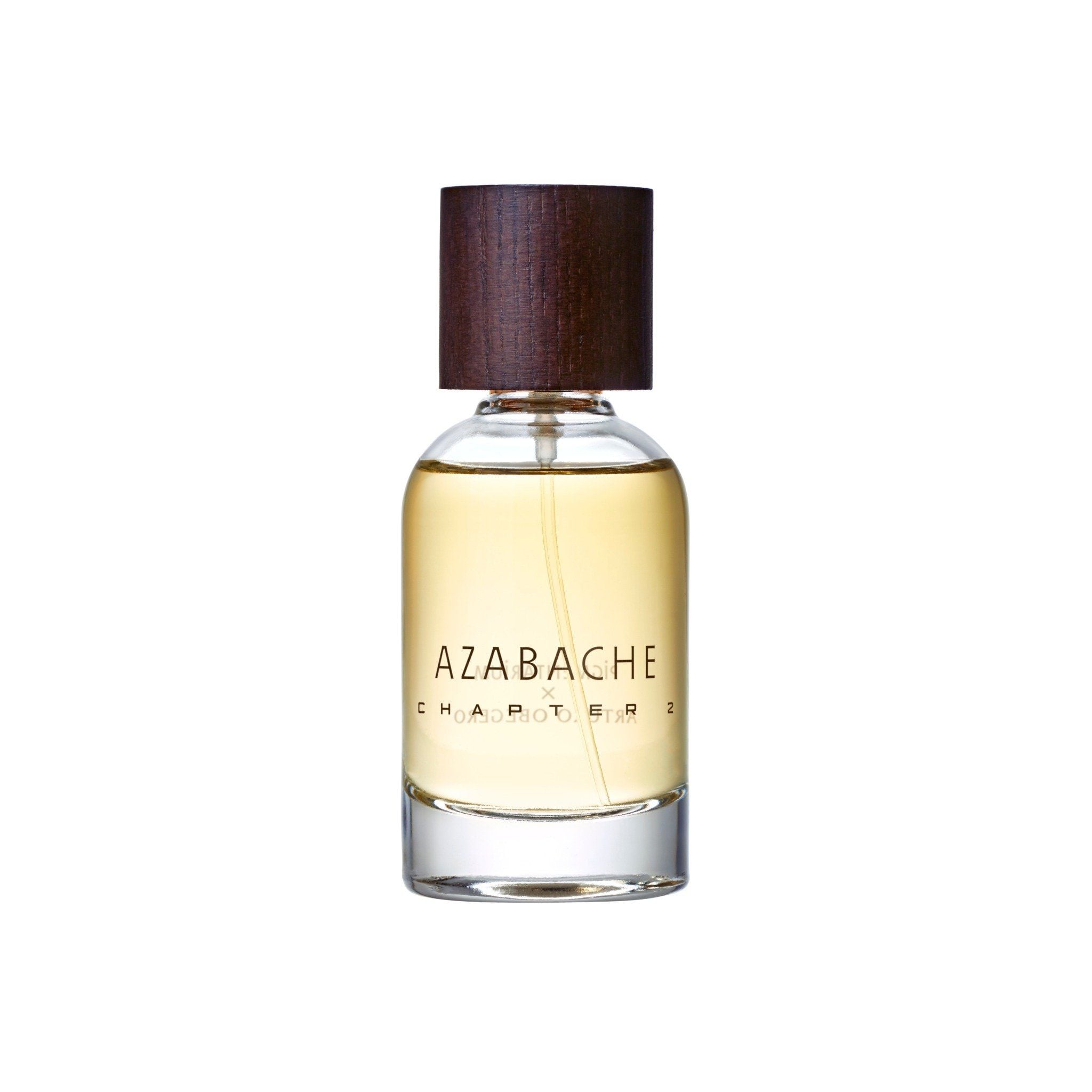  Pigmentarium Azabache Chapter 2 