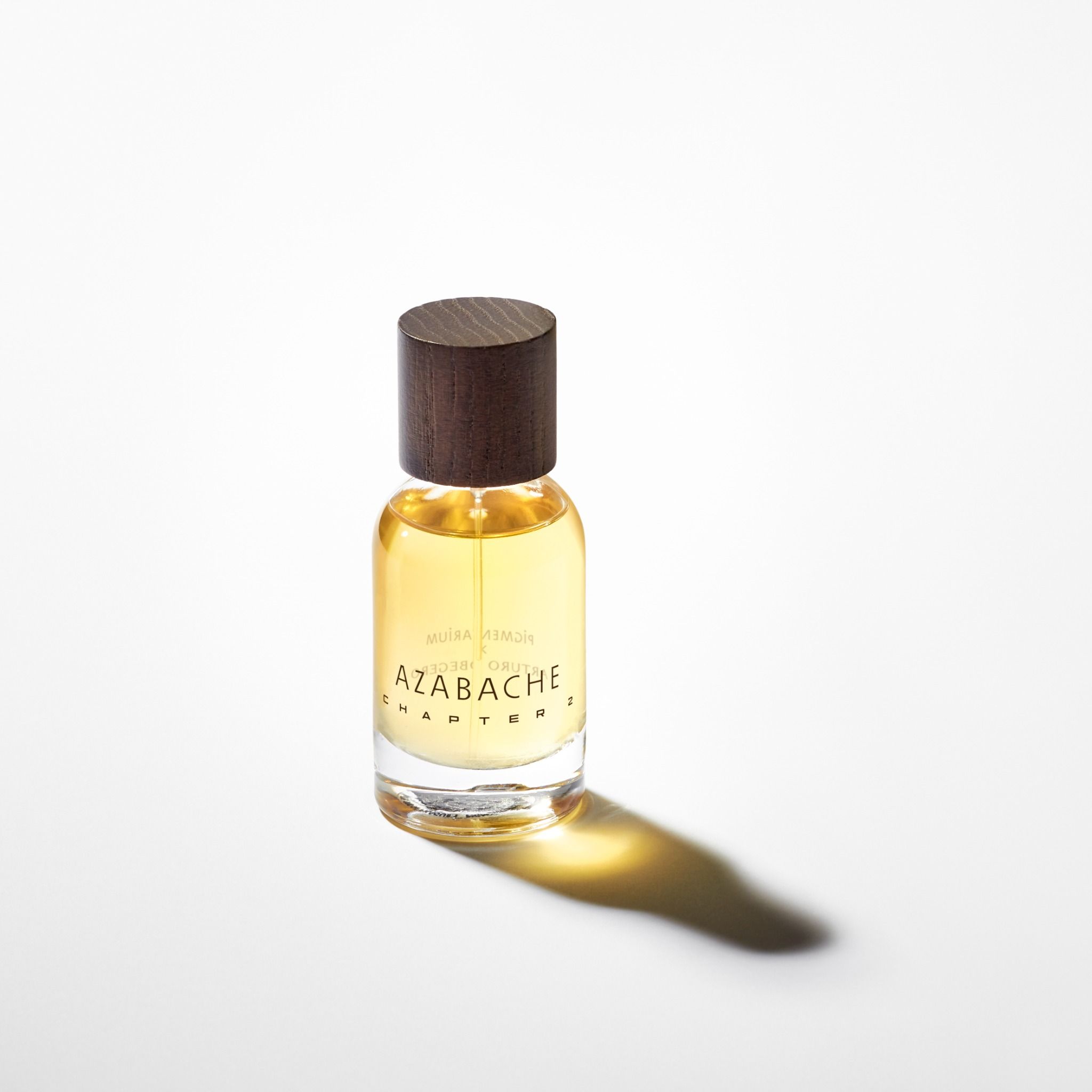  Pigmentarium Azabache Chapter 2 