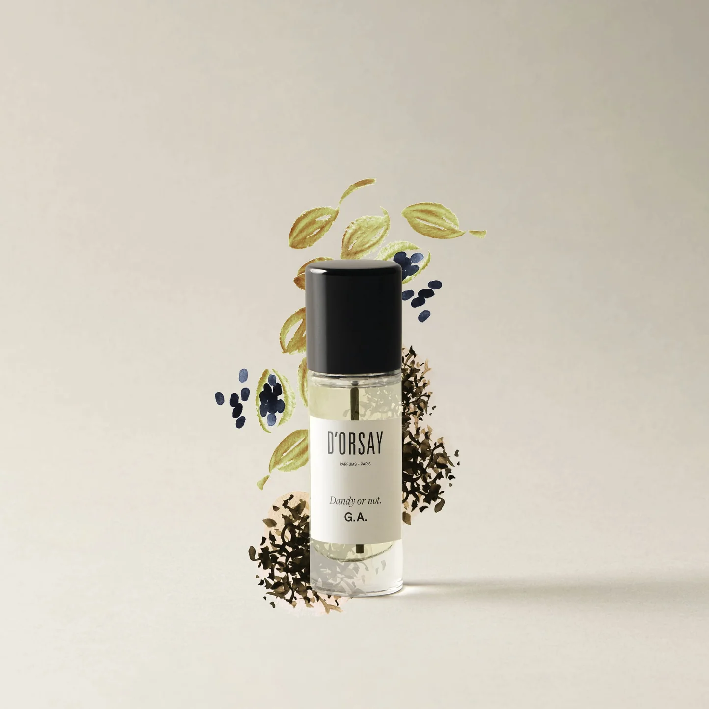  Maison D'Orsay G.A Dandy Or Not 