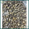  NẤM ĐÔNG CÔ 1KG 