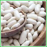  ĐẬU TRẮNG 1KG 