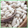  ĐẬU TRẮNG 1KG 