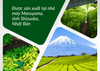  Bột Trà Xanh Matcha GM85 (Haru Premium) 100g 