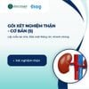  Gói Xét Nghiệm Thận - Cơ Bản (Nhân viên đến lấy mẫu tại nhà) 