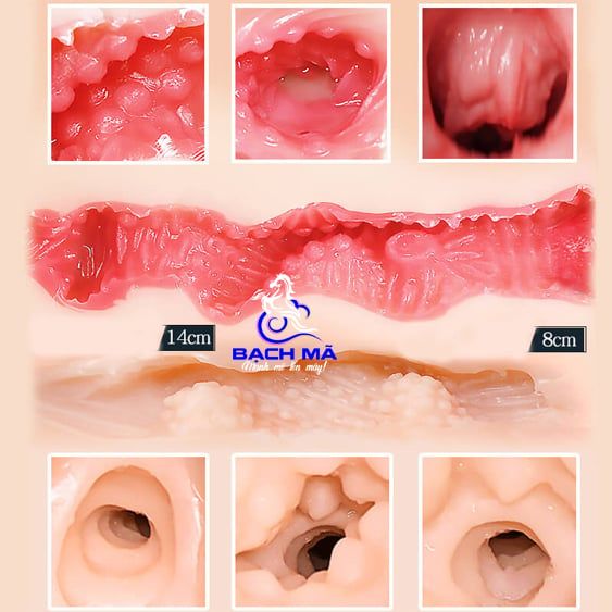  Cốc thủ dâm giá rẻ cầm tay có rung rên kên đôi âm đạo và hậu môn 2 