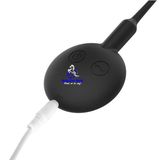  Sextoy gay que rung niệu đạo rung 10 tần số 