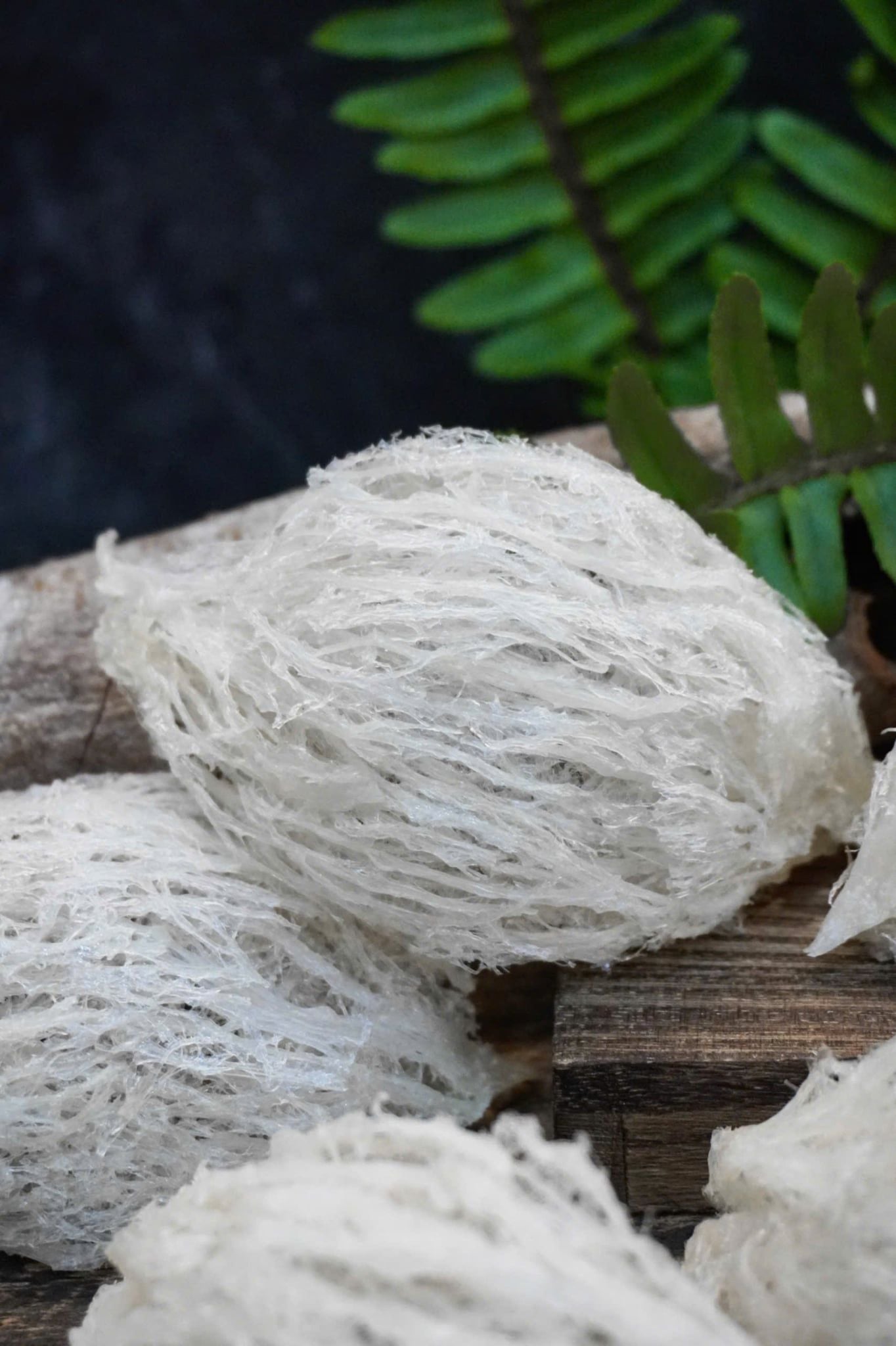  Tổ Yến Đã Nhặt Lông | LOẠI 2 | Hộp 50gr | Bản Quà Biếu Cao Cấp 