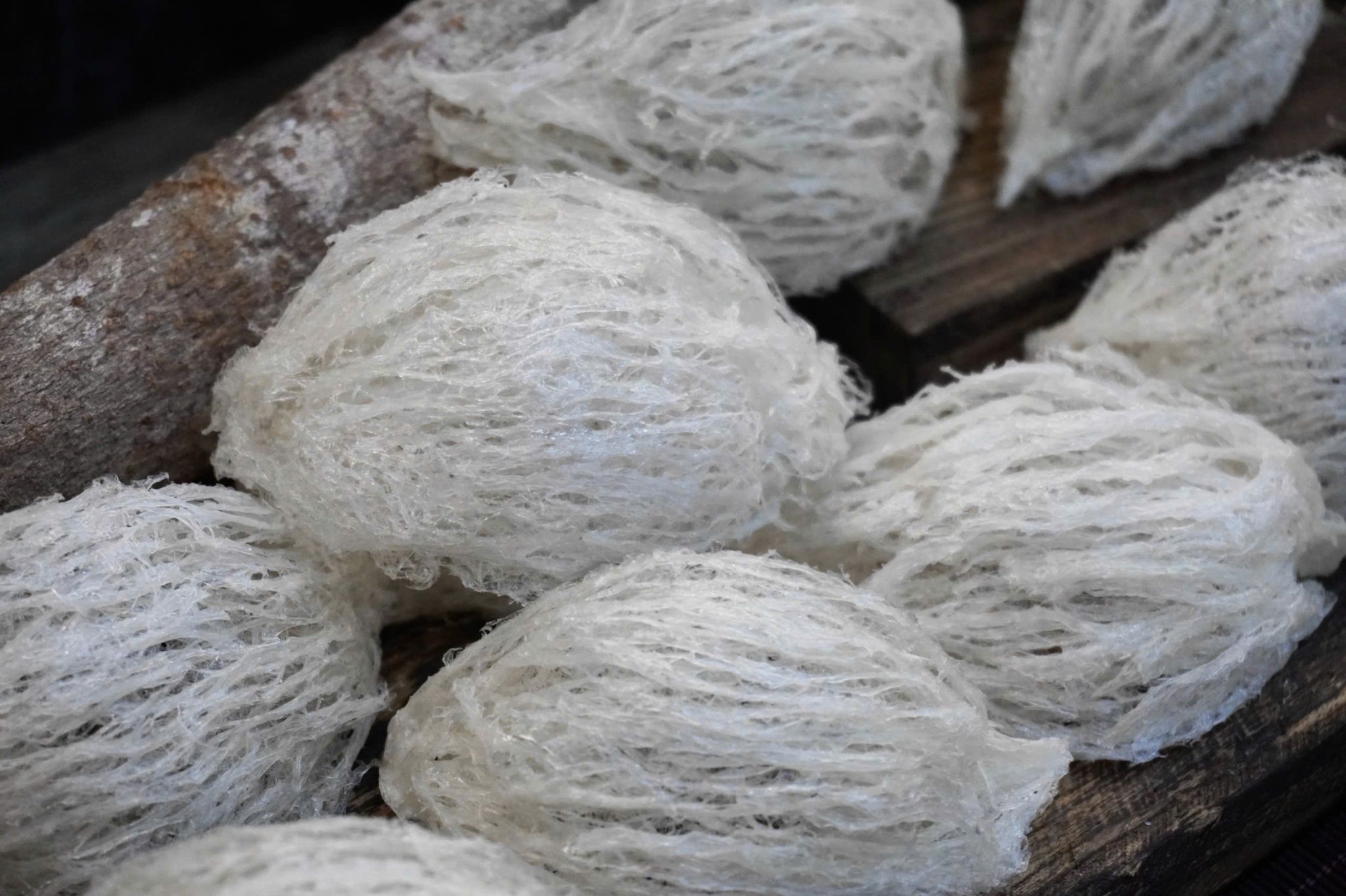  Tổ Yến Đã Nhặt Lông | LOẠI 2 | Hộp 50gr | Bản Quà Biếu Cao Cấp 
