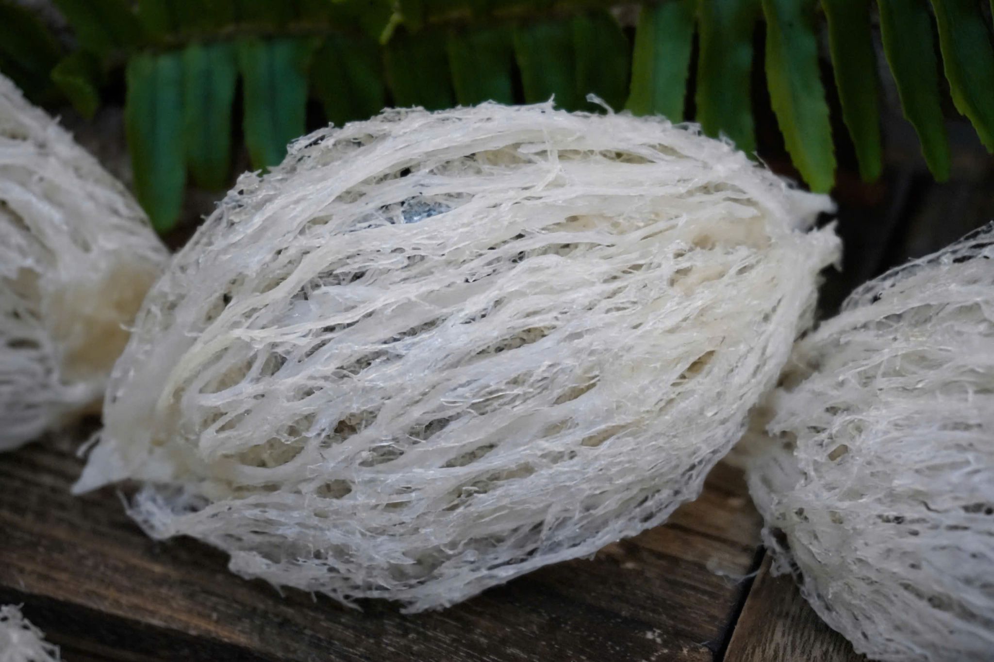 Tổ Yến Đã Nhặt Lông | LOẠI 2 | Hộp 50gr | Bản Quà Biếu Cao Cấp 