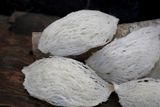  Tổ Yến Đã Nhặt Lông | LOẠI 1 | Hộp 50gr | Bản Quà Biếu Cao Cấp 