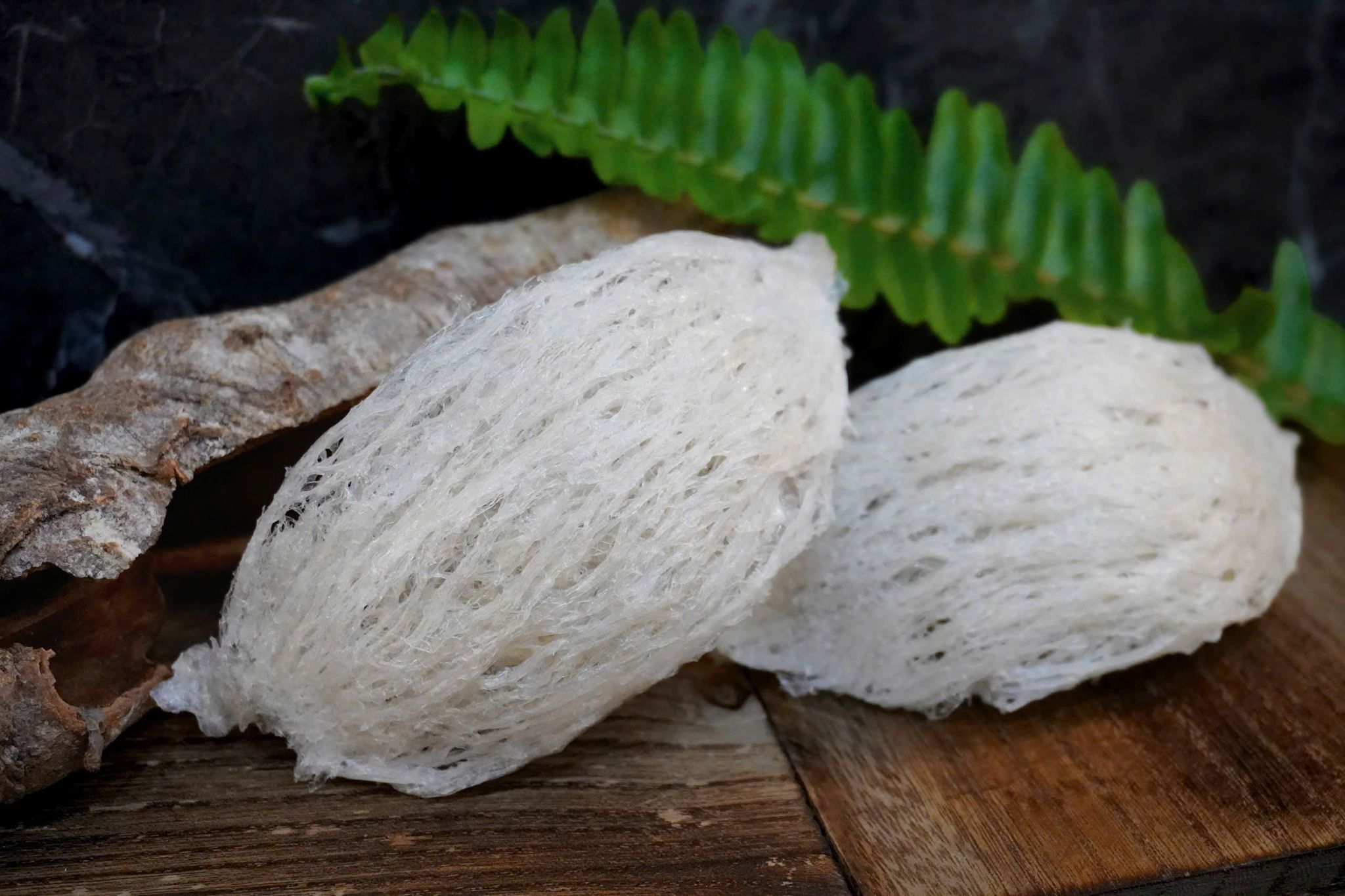  Tổ Yến Đã Nhặt Lông | LOẠI 1 | Hộp 50gr | Bản Quà Biếu Cao Cấp 