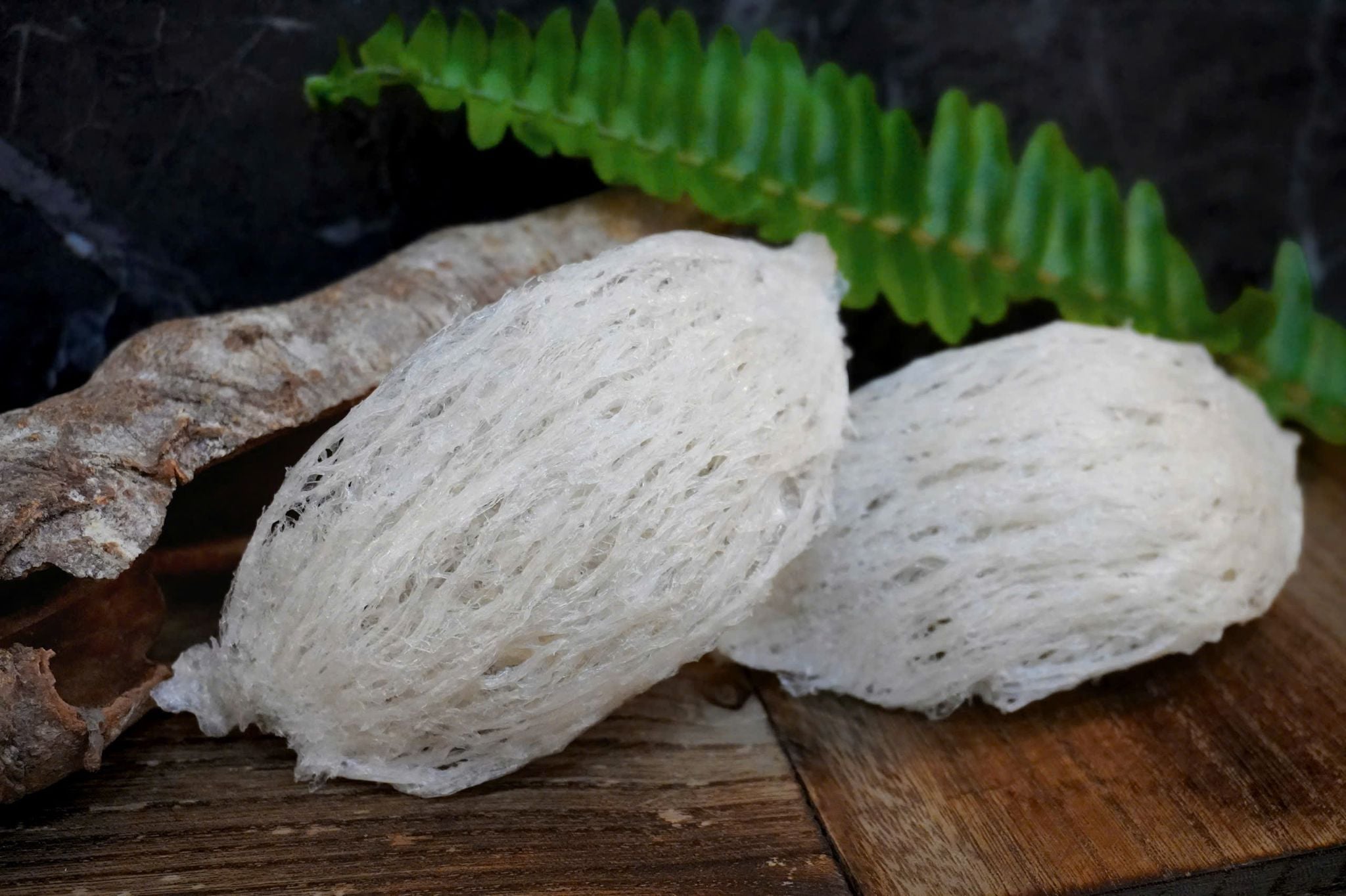  Tổ Yến Đã Nhặt Lông | LOẠI 1 | Hộp 100gr | Bản Quà Biếu Cao Cấp 
