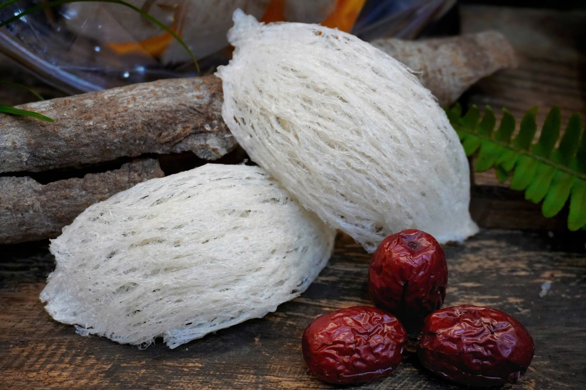  Tổ Yến Đã Nhặt Lông | LOẠI 1 | Hộp 50gr | Bản Quà Biếu Cao Cấp 