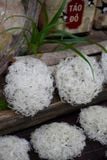  Tổ Yến Đã Nhặt Lông | KHẨU PHẦN | Hộp 100gr | Bản Quà Biếu Cao Cấp 