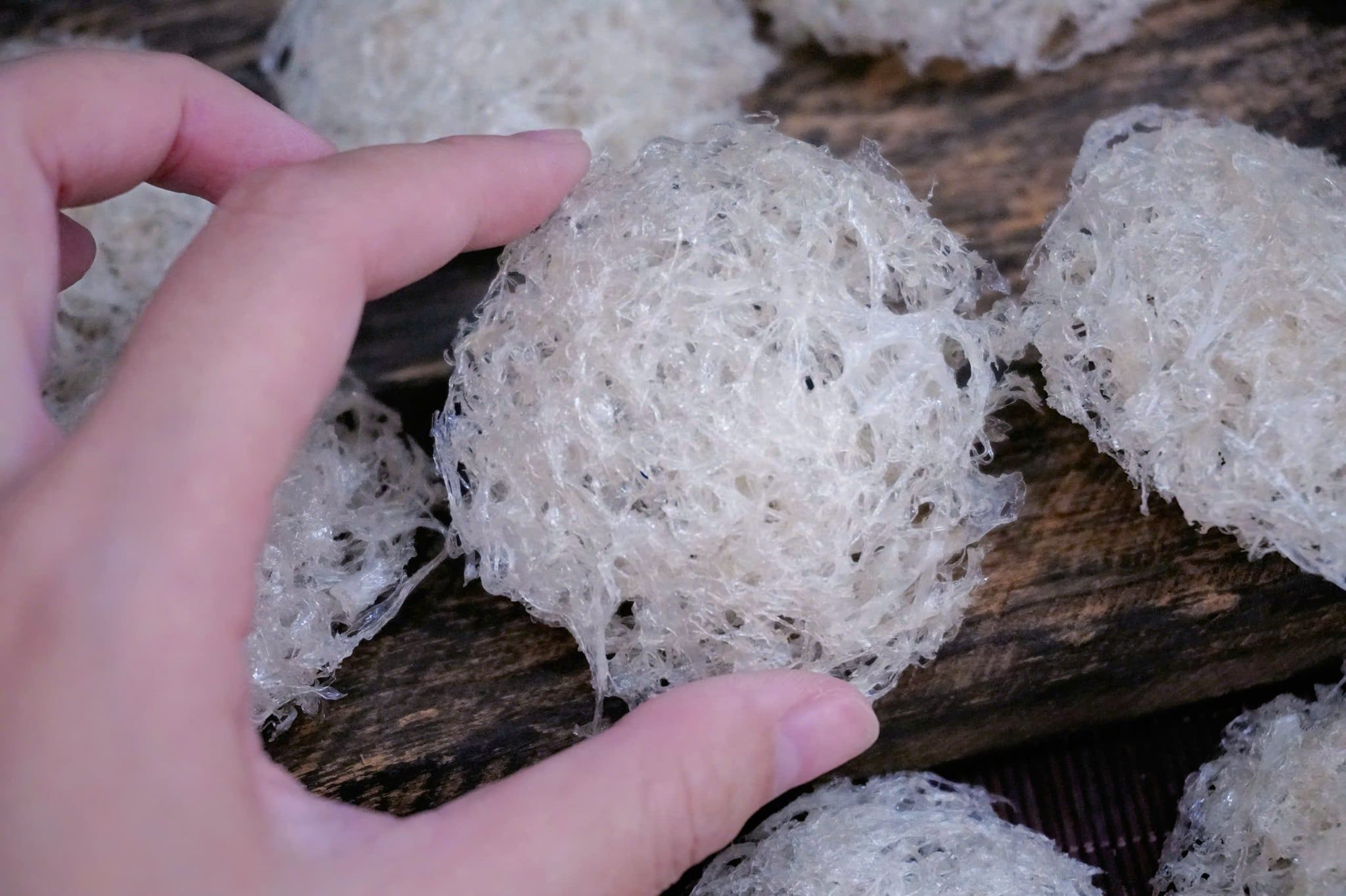  Tổ Yến Đã Nhặt Lông | KHẨU PHẦN | Hộp 50gr | Bản Quà Biếu Cao Cấp 