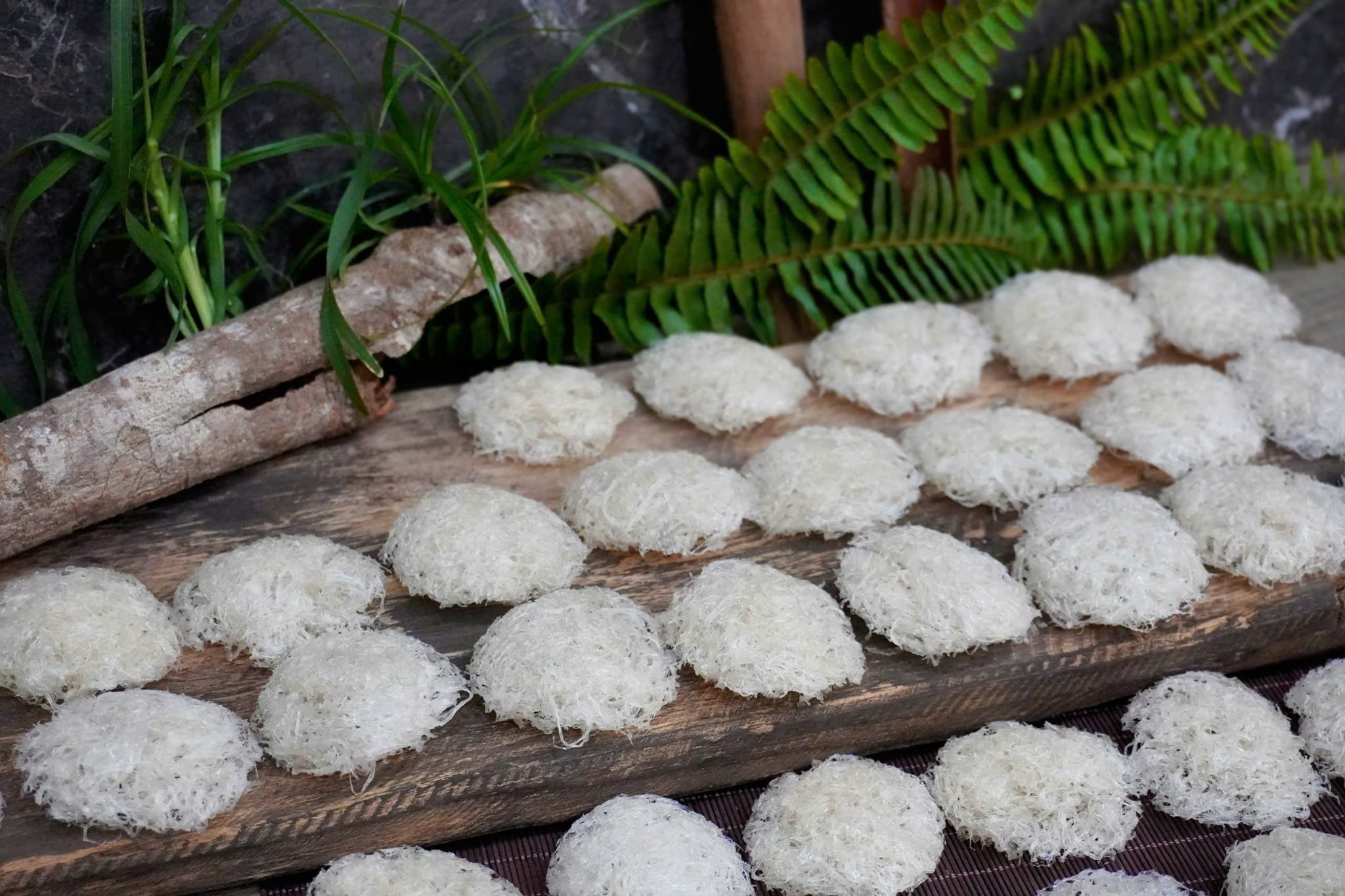  Tổ Yến Đã Nhặt Lông | KHẨU PHẦN | Hộp 100gr | Bản Quà Biếu Cao Cấp 