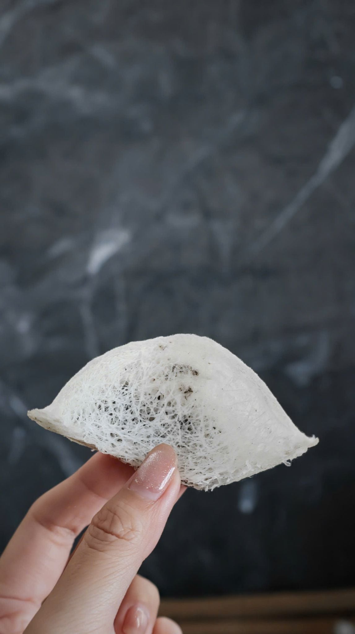  Tổ Yến Thô [ Chưa Nhặt Lông ] | Hộp 100gr 