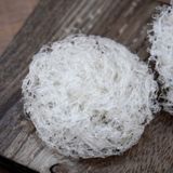  Gói Yến Tiện Lợi 