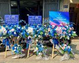  Kệ Hoa Giao Xe Tone Xanh Dương – Sang Trọng, Hiện Đại Cho Showroom Ô Tô 