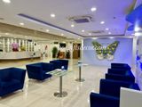  🦋 Bướm Khổng Lồ Trang Trí – Góc Check-in Xinh Xắn Cho 8/3 & 20/10 & Không Gian Sự Kiện 