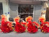  CÁ CHÉP ĐỎ DECOR – BIỂU TƯỢNG MAY MẮN CHO MÙA LỄ HỘI 