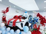  Khung Hoa – Cổng Hoa Giao Xe VinFast - Trang Trí Showroom Chuyên Nghiệp 