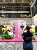  🌸 Hoa Giấy Khổng Lồ – Decor Xinh Xắn Cho Mùa 20/10 & 8/3 