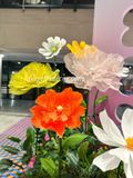  🌸 Hoa Giấy Khổng Lồ – Decor Xinh Xắn Cho Mùa 20/10 & 8/3 