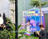  Hoa Vải Voan Tự Nở – Điểm Nhấn Độc Đáo Giúp Sự Kiện Trở Nên Đáng Nhớ 