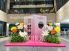 🌸 Hoa Giấy Khổng Lồ – Decor Xinh Xắn Cho Mùa 20/10 & 8/3 