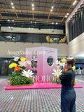  🌸 Hoa Giấy Khổng Lồ – Decor Xinh Xắn Cho Mùa 20/10 & 8/3 