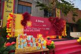  Hoa Vải Voan Khổng Lồ – Trang Trí Sân Khấu, Party Đẹp “Bắt Trend”, Check-in Cực Đỉnh 