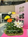  🌸 Hoa Giấy Khổng Lồ – Decor Xinh Xắn Cho Mùa 20/10 & 8/3 