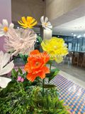  🌸 Hoa Giấy Khổng Lồ – Decor Xinh Xắn Cho Mùa 20/10 & 8/3 