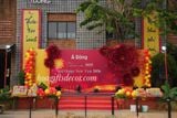  Hoa Vải Voan Khổng Lồ – Trang Trí Sân Khấu, Party Đẹp “Bắt Trend”, Check-in Cực Đỉnh 