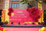  Hoa Vải Voan Khổng Lồ – Trang Trí Sân Khấu, Party Đẹp “Bắt Trend”, Check-in Cực Đỉnh 