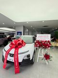  Kệ Hoa Giao Xe Nhung Đỏ Sang Trọng – Điểm Nhấn Đắt Giá Cho Showroom 