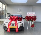  Kệ Hoa Giao Xe Nhung Đỏ Sang Trọng – Điểm Nhấn Đắt Giá Cho Showroom 