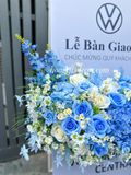  Khung Hoa Giao Xe Volkswagen Cao Cấp Tone Xanh – Hiện Đại, Gần Gũi & Dễ Ghi Điểm 