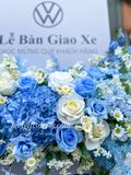  Khung Hoa Giao Xe Volkswagen Cao Cấp Tone Xanh – Hiện Đại, Gần Gũi & Dễ Ghi Điểm 