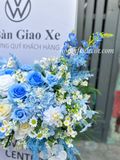  Khung Hoa Giao Xe Volkswagen Cao Cấp Tone Xanh – Hiện Đại, Gần Gũi & Dễ Ghi Điểm 