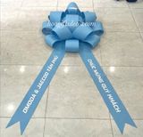  Nơ Xe & Kệ Hoa OMODA & JAECOO – Trang Trí Giao Xe Đẹp, Chỉn Chu 
