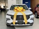  Nơ xe hơi sự kiện giao xe- Nơ trang trí giá rẻ 16- Freeship toàn quốc 