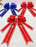  Nơ xe hơi vải nhung cao cấp - Freeship Toàn Quốc 