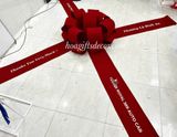  Nơ Xe Hơi Size Lớn – SANG TRỌNG & NỔI BẬT CHO MỌI DỊP 