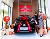 Nơ Xe Hơi Nhung Ngôi Sao Cho Xe Hơi – Điểm Nhấn Sang Trọng Cho Sự Kiện 