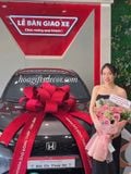  Nơ Xe Hơi Nhung Ngôi Sao Cho Xe Hơi – Điểm Nhấn Sang Trọng Cho Sự Kiện 