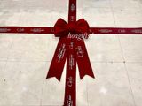  Nơ Nhung Cao Cấp Decor Máy Thẩm Mỹ – Tinh Tế Trong Từng Chi Tiết, Nâng Tầm Đẳng Cấp Spa/Clinic 