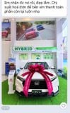  Nơ Xe Hơi Nhung Ngôi Sao Cho Xe Hơi – Điểm Nhấn Sang Trọng Cho Sự Kiện 
